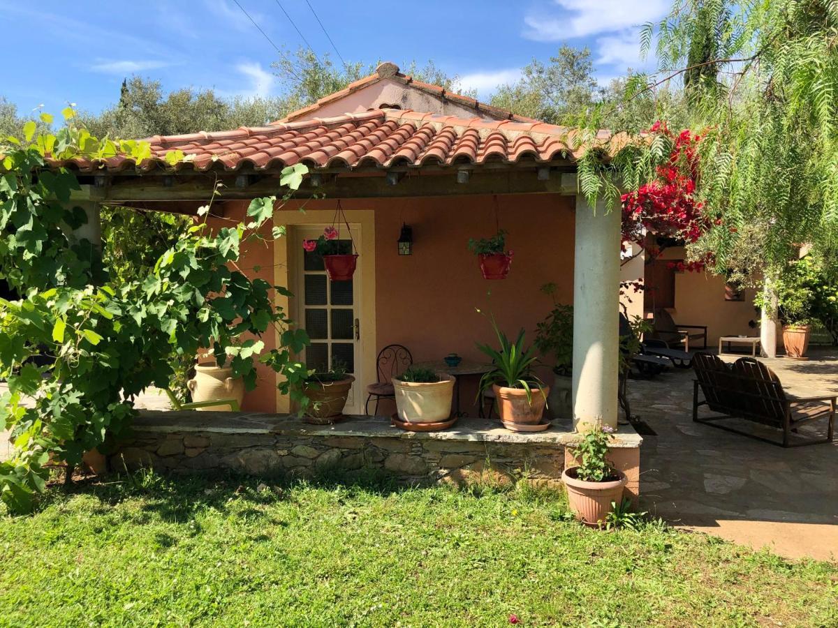 Domaine Le Clos Des Oliviers Sorbo-Ocagnano Eksteriør billede